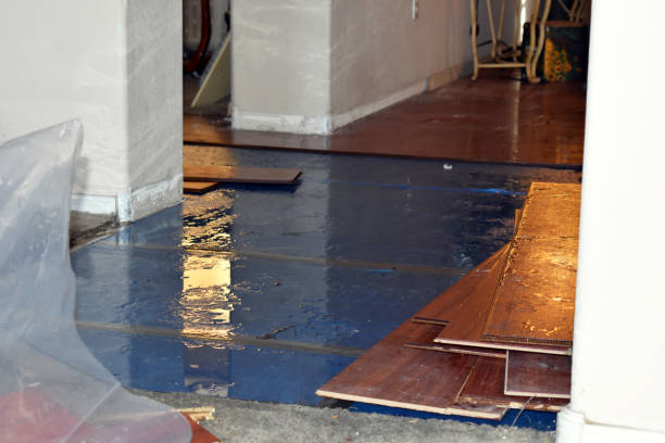Professional Flood Cleanup technician working in Owendale, MI